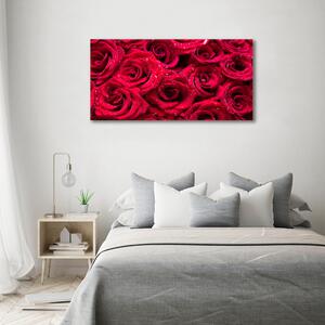 Imprimare tablou canvas Picaturi pe trandafiri