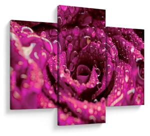 Tabloul cu floarea trandafirului roz (90x60 cm)