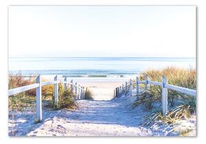 Fotografie imprimată pe sticlă dune de coastă