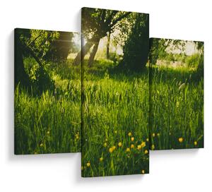 Tablou cu natura - lunca (90x60 cm)