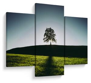Tablou cu natura - copac (90x60 cm)