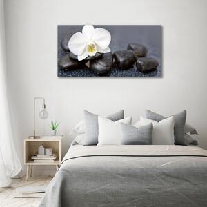 Imprimare tablou canvas Orhidee