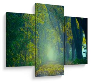 Tablou cu drum dea lungul cu copaci (90x60 cm)