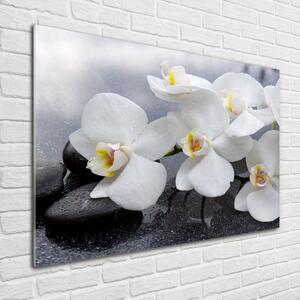 Imagine de sticlă Orhidee