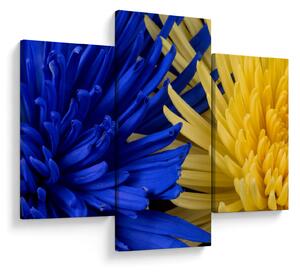 Tablou - detaliu florilor (90x60 cm)