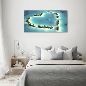Tablou pe pânză canvas Inima insulă în formă