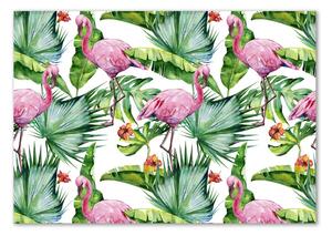 Fotografie imprimată pe sticlă plante Flamingos