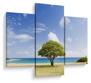 Tablou plaja cu copac (90x60 cm)