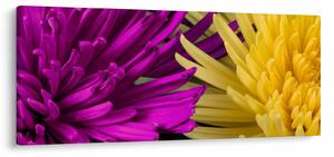 Tablou - detailu cu flori (120x50 cm)