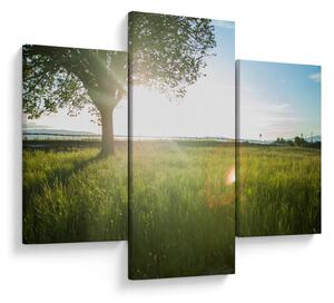 Tablou cu lunca în vară (90x60 cm)