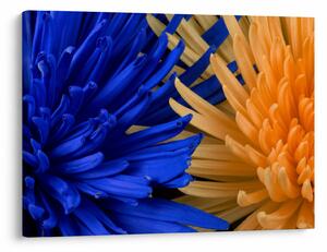 Tablou detailat cu flori (70x50 cm)