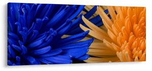 Tablou detailat cu flori (120x50 cm)