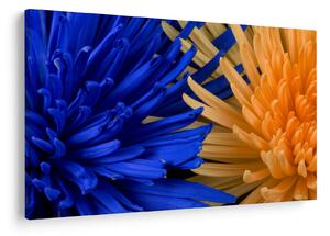 Tablou detailat cu flori (90x60 cm)