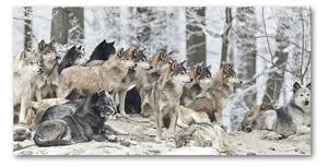 Fotografie imprimată pe sticlă lupi în timpul iernii