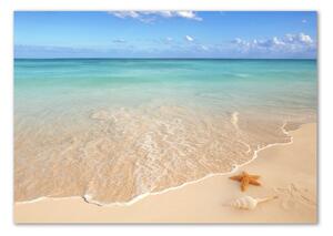 Imagine de sticlă Starfish pe plajă