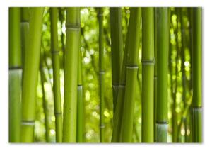 Tablou Printat Pe Sticlă Bambus