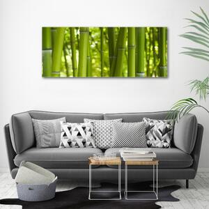 Tablou canvas Bambus
