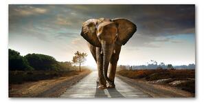 Tablou Printat Pe Sticlă elefant de mers pe jos