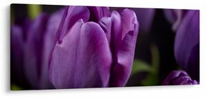 Tablou cu flori de lalele (120x50 cm)