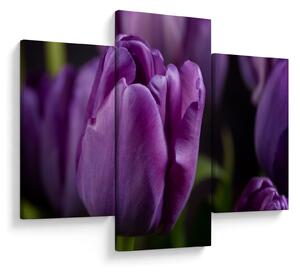 Tablou cu flori de lalele (90x60 cm)