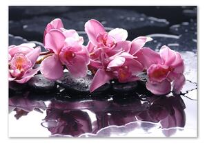 Tablou pe pe sticlă orhidee roz