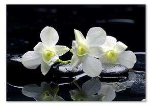 Tablou sticlă Orhidee