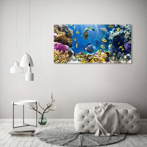 Print pe canvas recif de corali