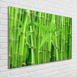 Tablou sticlă bambusul