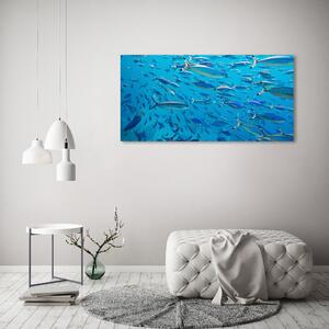 Print pe canvas pește Coral