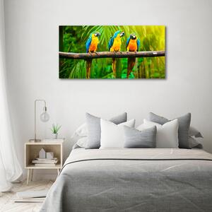 Print pe canvas Papagalii pe o ramură
