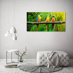 Print pe canvas Papagalii pe o ramură