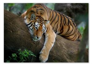 Imagine de sticlă Tiger pe un copac