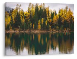 Tablou cu lac de pădure (70x50 cm)