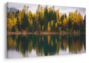 Tablou cu lac de pădure (90x60 cm)