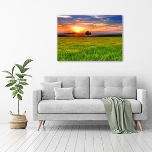Tablou canvas Sunset Meadow