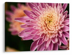 Tablou detailat cu flori (70x50 cm)