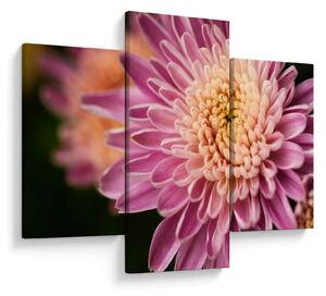 Tablou detailat cu flori (90x60 cm)