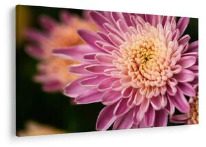 Tablou detailat cu flori (90x60 cm)