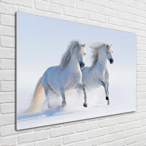 Tablou din Sticlă Doi cai în zăpadă