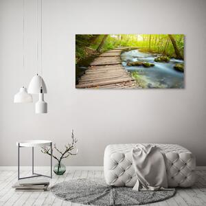 Imprimare tablou canvas Calea pe râul