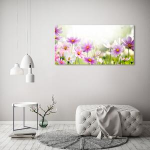 Tablou canvas Flori în lunca