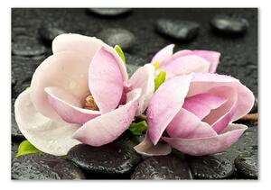 Fotografie imprimată pe sticlă Magnolia Zen Piatra