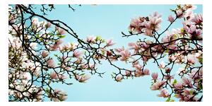 Tablou din Sticlă flori magnolia