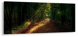 Tablou cu poteca prin pădure (120x50 cm)
