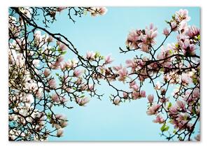 Tablou din Sticlă flori magnolia