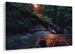 Tablou cu râu montan (90x60 cm)