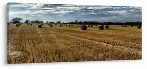 Tablou cu câmp recoltat (120x50 cm)