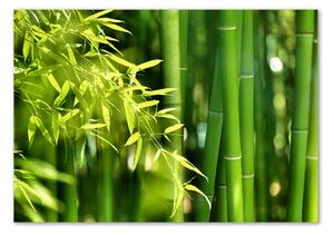 Tablou sticlă Bambus