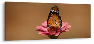 Tablou cu fluture pe floare (120x50 cm)