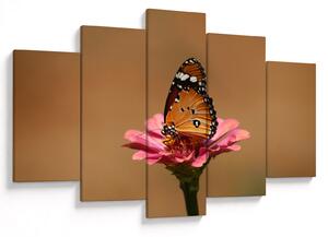 Tablou cu fluture pe floare (150x105 cm)